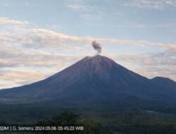 Jumlah Pengungsi Erupsi Gunung Lewotobi Laki-laki Capai11.553 Orang