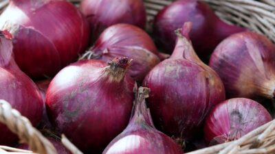 Bawang Merah dan Cabai Sumbang Deflasi Terbesar di Jambi