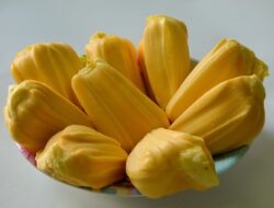 Ini Khasiat Buah Nangka Bagi Ibu Hamil dan Janin