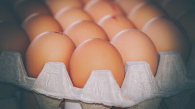 Makan Telur Tiap Hari Dapat Picu Keracunan? Begini Penjelasan Ahli