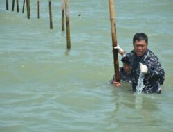 Modus Kasus Pagar Laut di Bekasi Akhirnya Terungkap