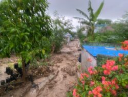 Banjir Terjang Maluku Utara dan Palu, BNPB Imbau Warga Tetap Waspada