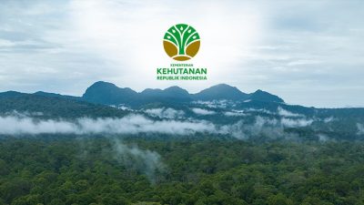 Peluang Emas: Kemenhut Cari Tenaga Operator Data untuk Sistem Pengelolaan Hutan