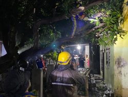 BNPB Rilis Update Penanganan Bencana Hidrometeorologi: Banjir dan Angin Kencang Landa Sejumlah Wilayah