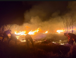 Kebakaran Hutan Gunung Bromo Hanguskan 520 Hektare Lahan, Akses Wisata Ditutup Total